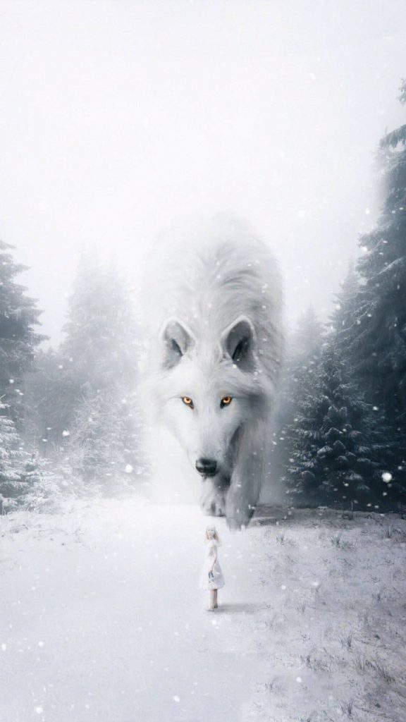 Wolf hd image wallpaper
