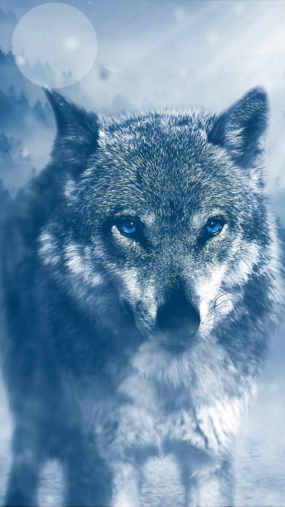 Wolf wallpaper aesthetic