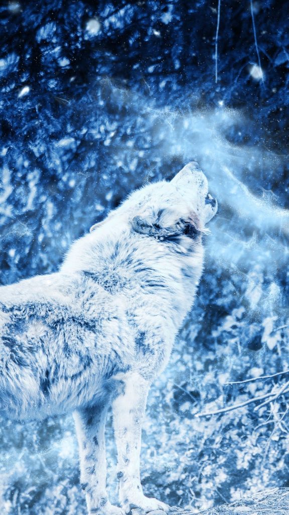 Wolf wallpaper mobile