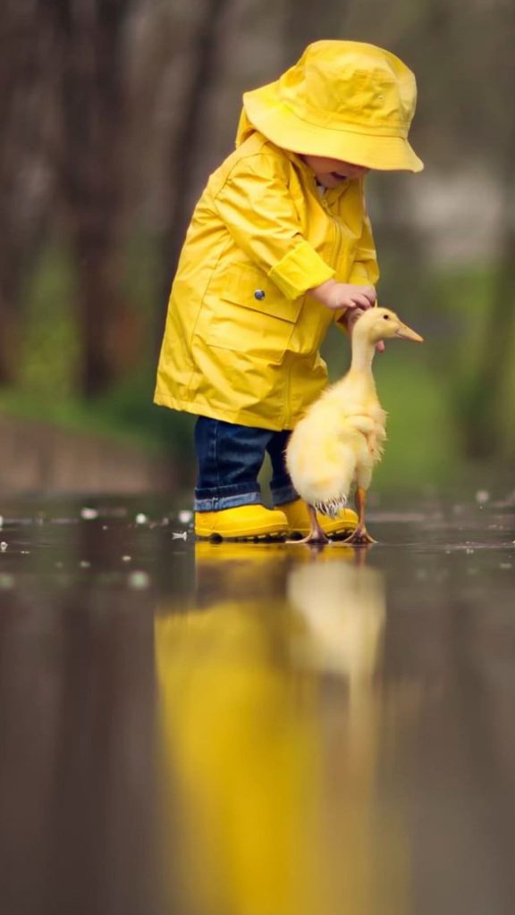 Little Boy Child Playing With Ducks 8k Wallpaper