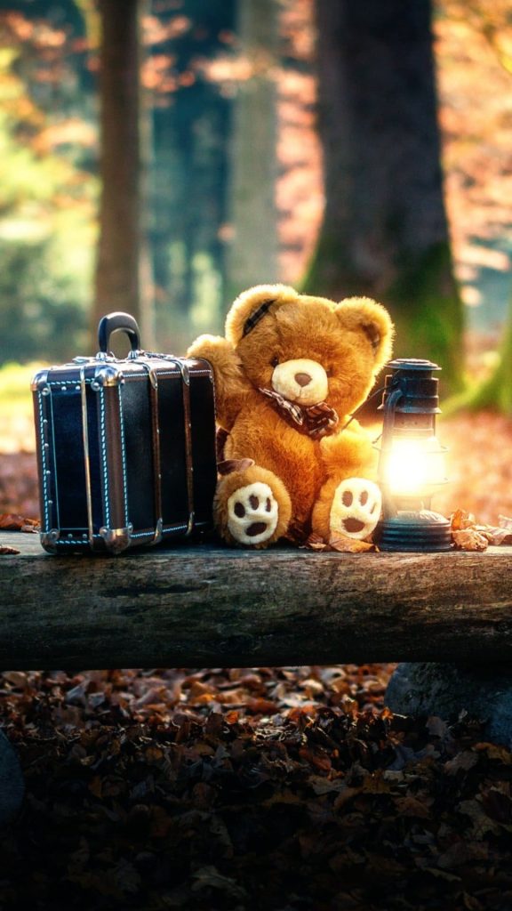 teddy bears cute alone in forest wallpaper